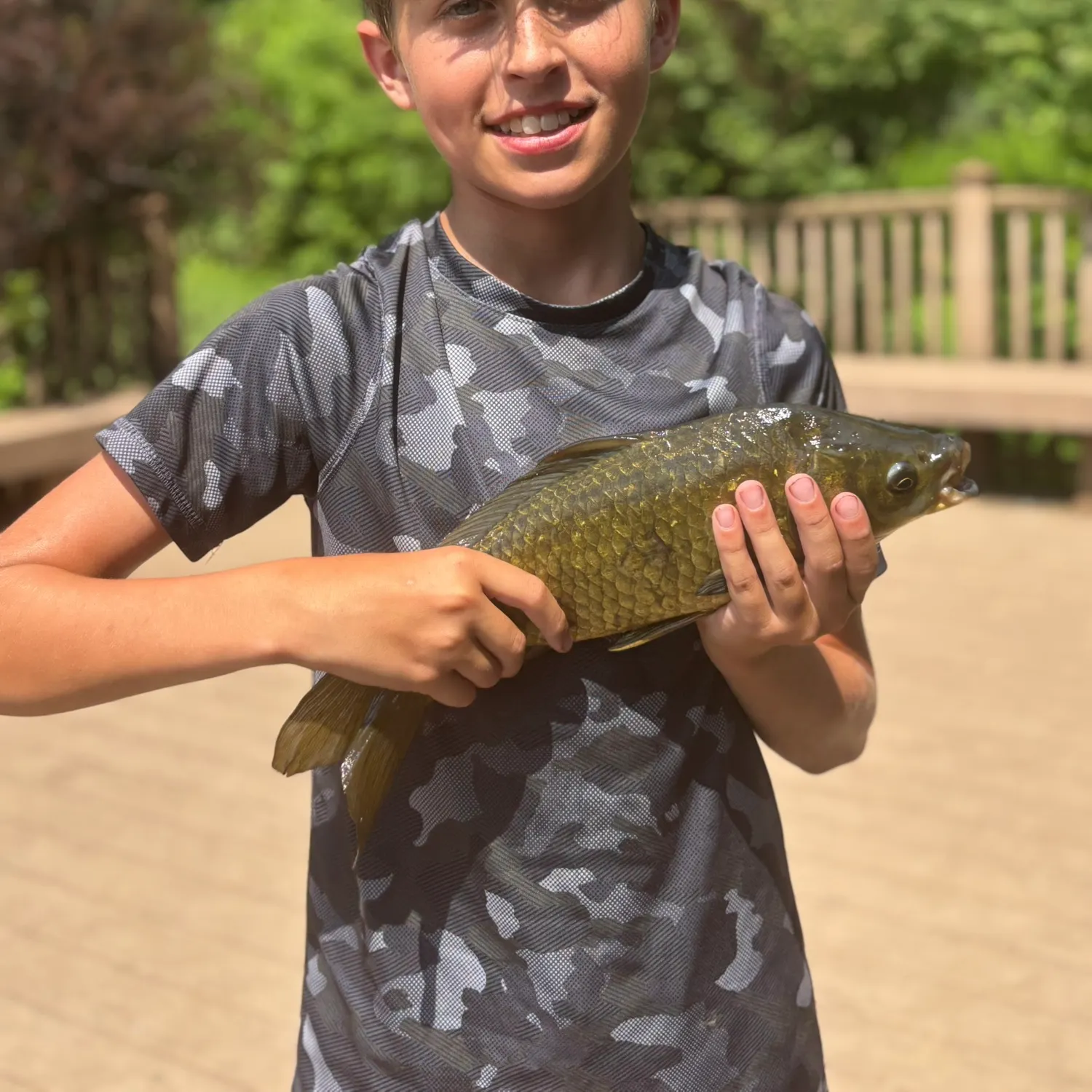 The most recent F1 carp catches on Fishbrain