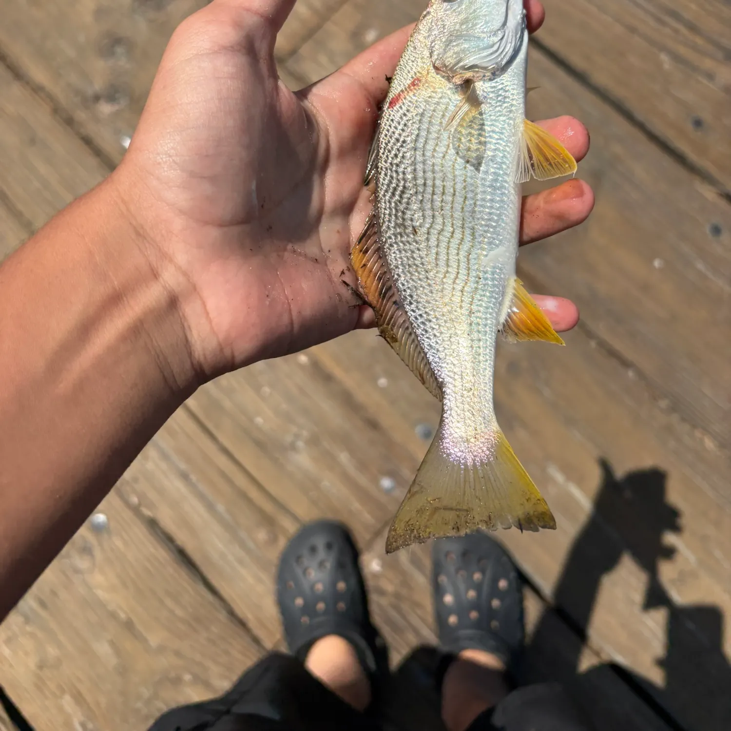 catch