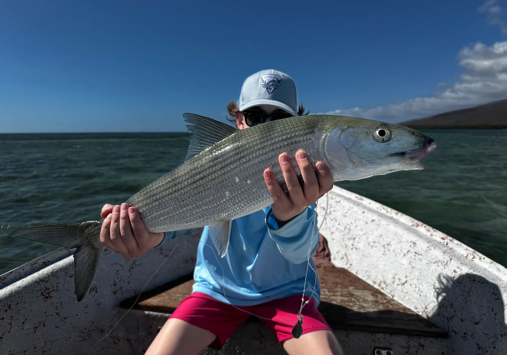 Pacific shafted bonefish