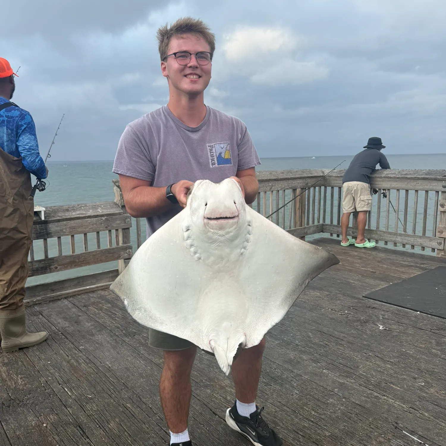 The most recent Cownose Ray catches on Fishbrain