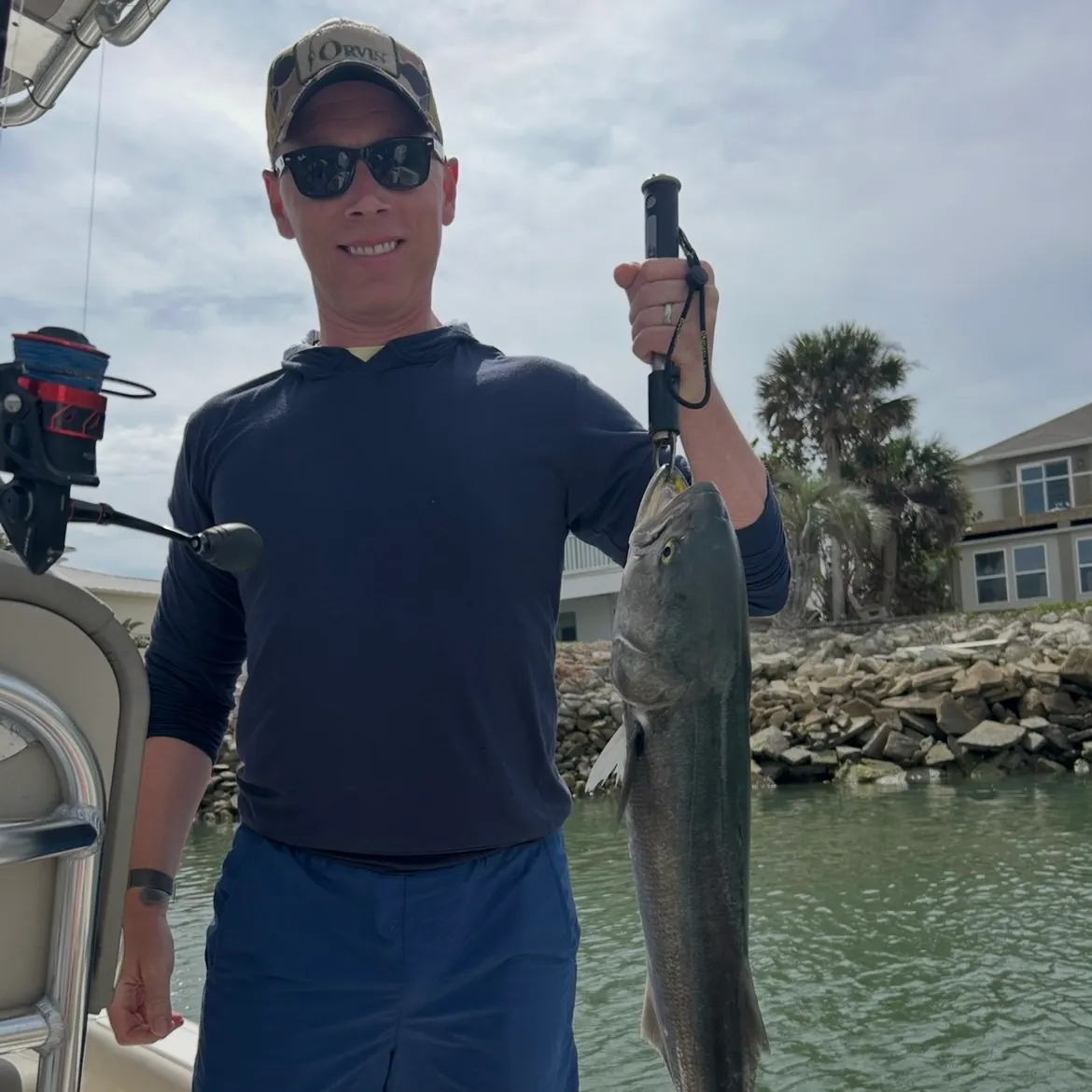 Bluefish caught on Fishbrain