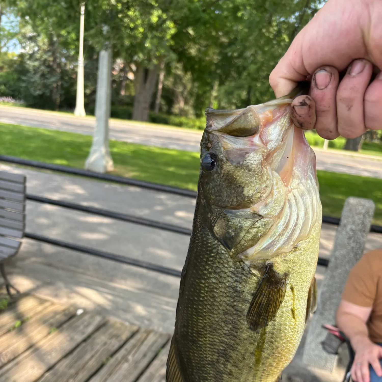 catch