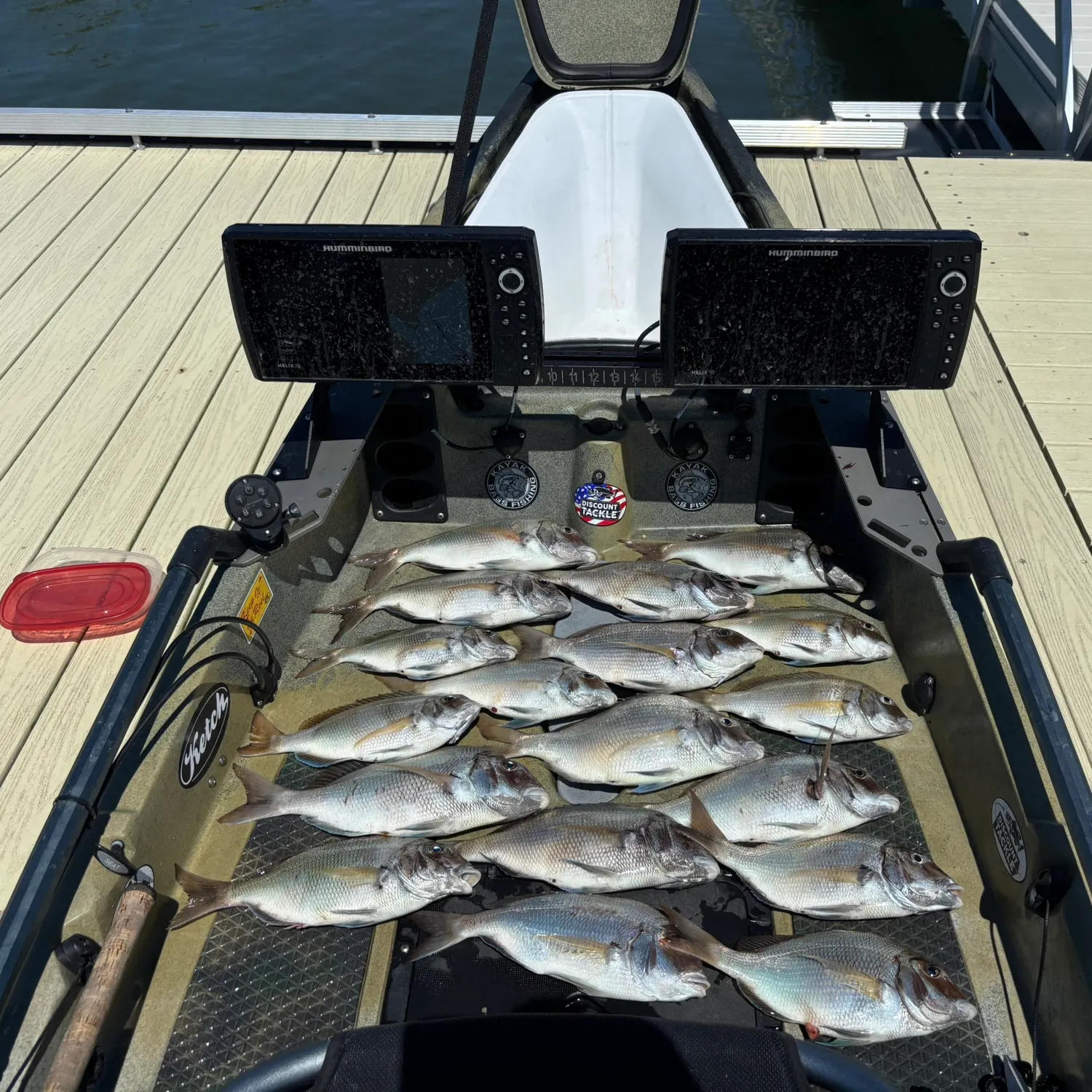 recently logged catches