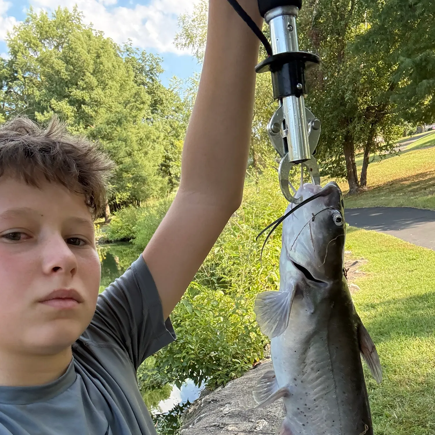 Channel catfish caught on Fishbrain