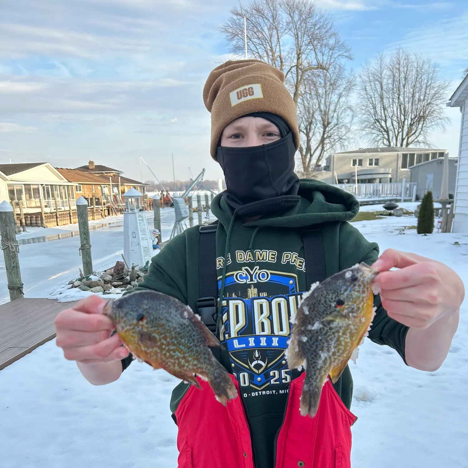 recently logged catches