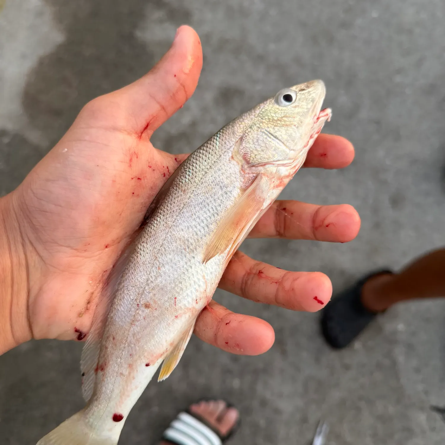 catch