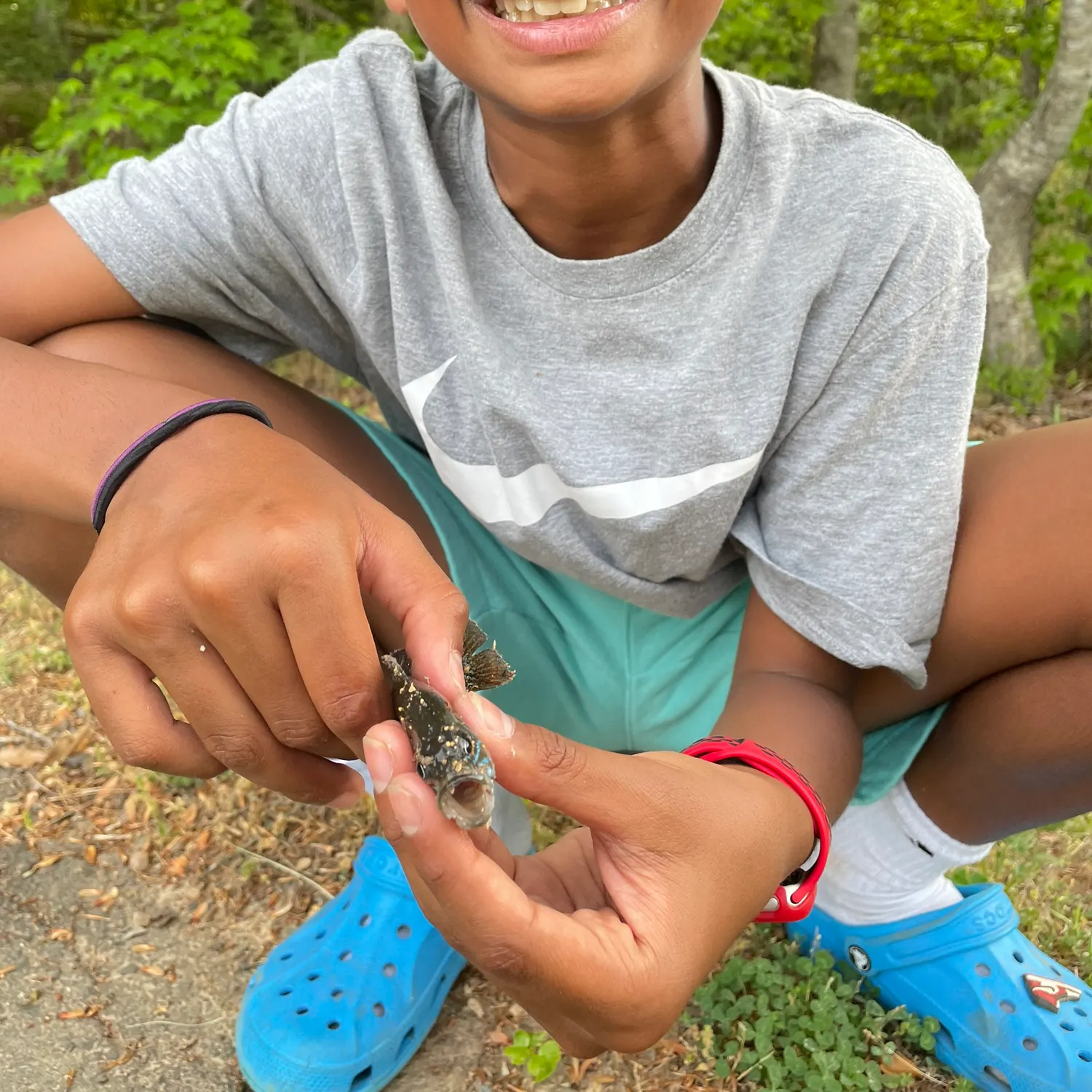 The most recent Northern sunfish catches on Fishbrain