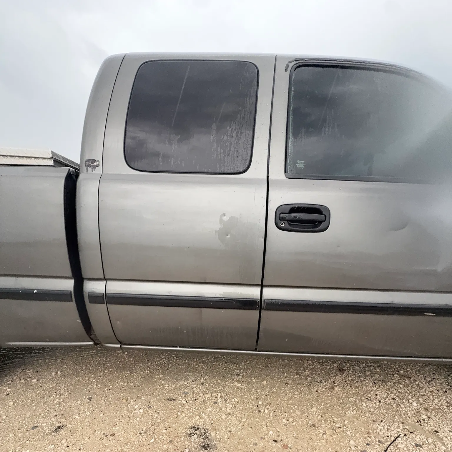 The most recent Alligator gar catches on Fishbrain