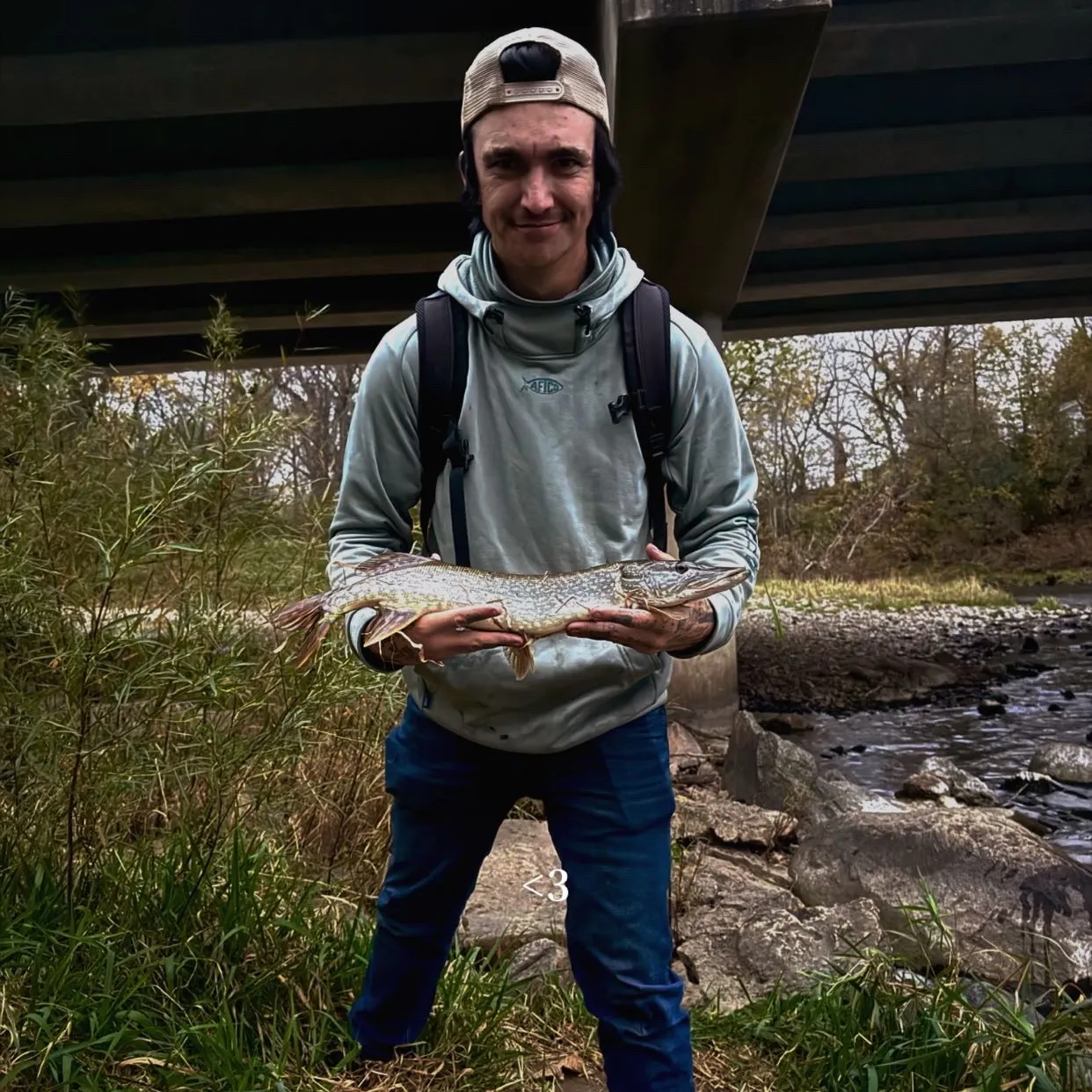 Northern pike caught on Fishbrain