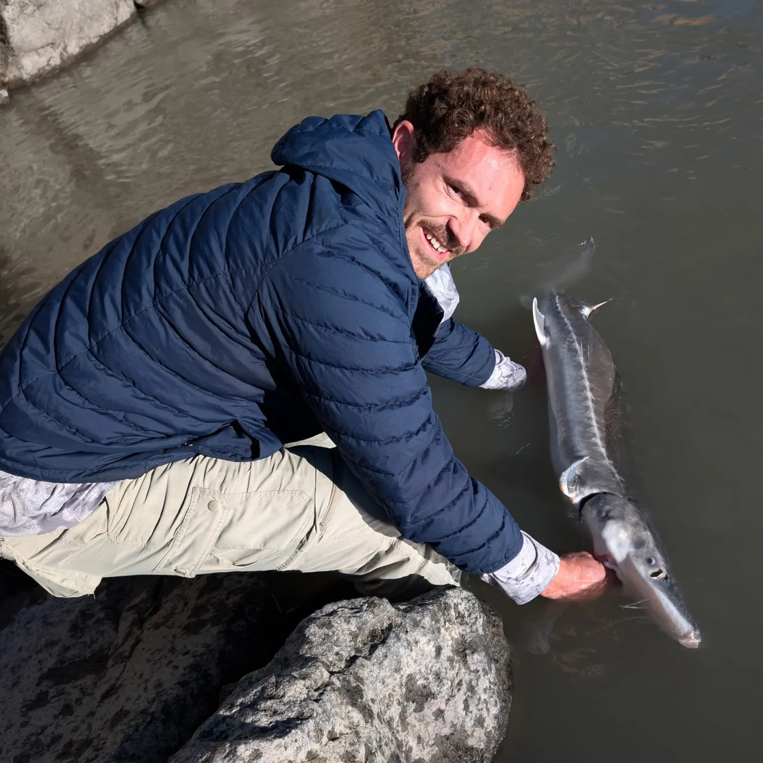 The most recent White sturgeon catches on Fishbrain