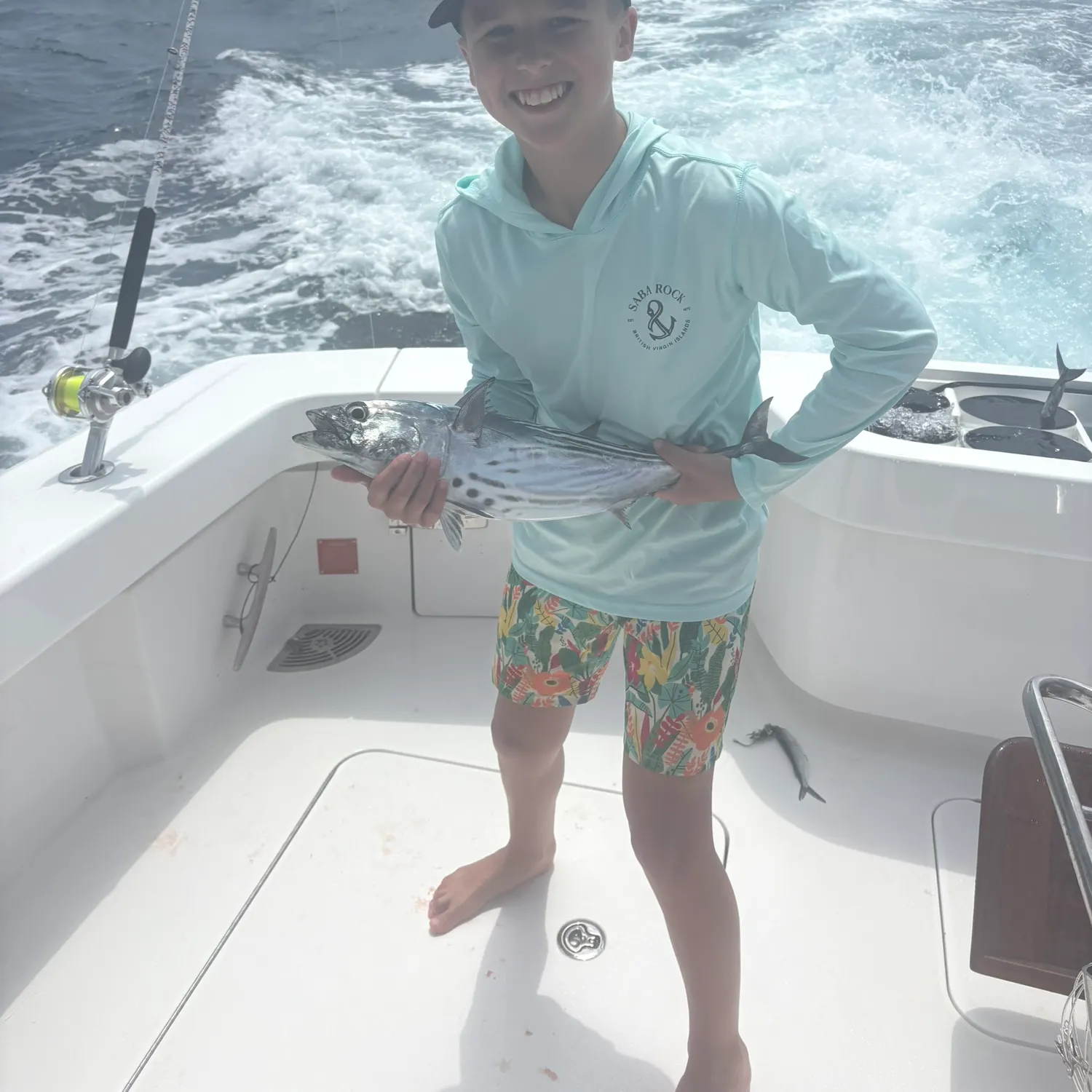 Eastern Pacific bonito caught on Fishbrain