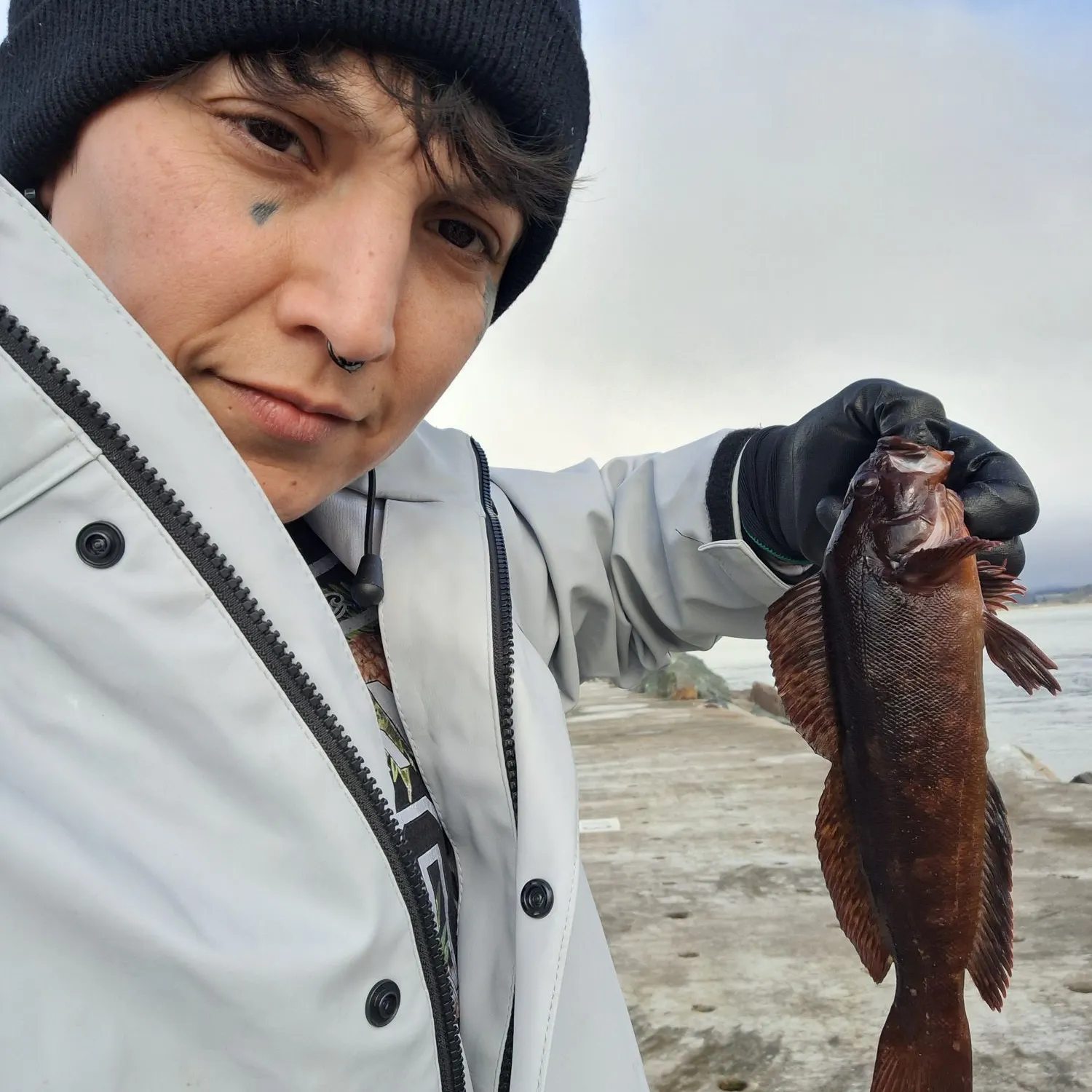 The most recent Kelp rockfish catches on Fishbrain