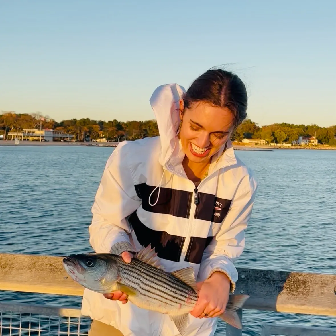 Striped bass caught on Fishbrain