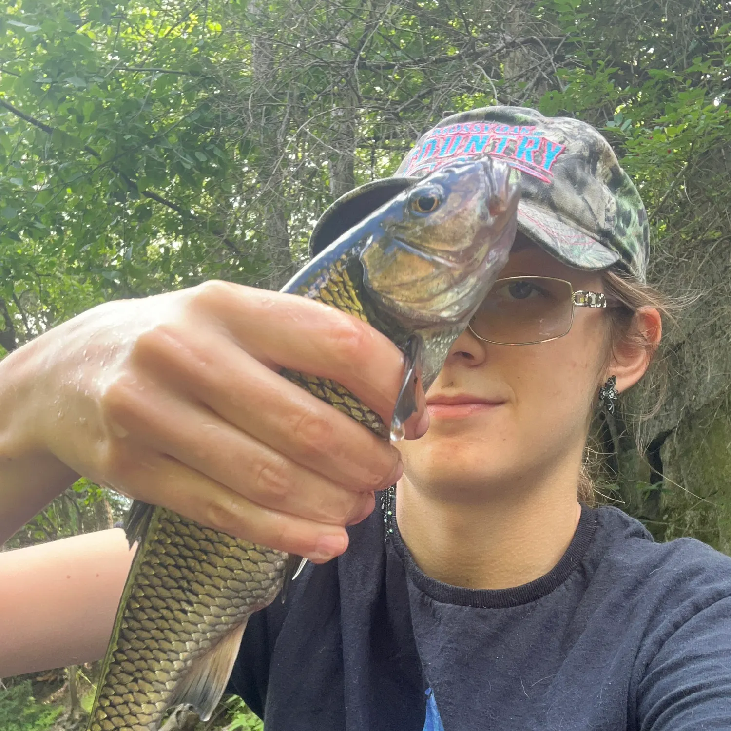 Fallfish caught on Fishbrain
