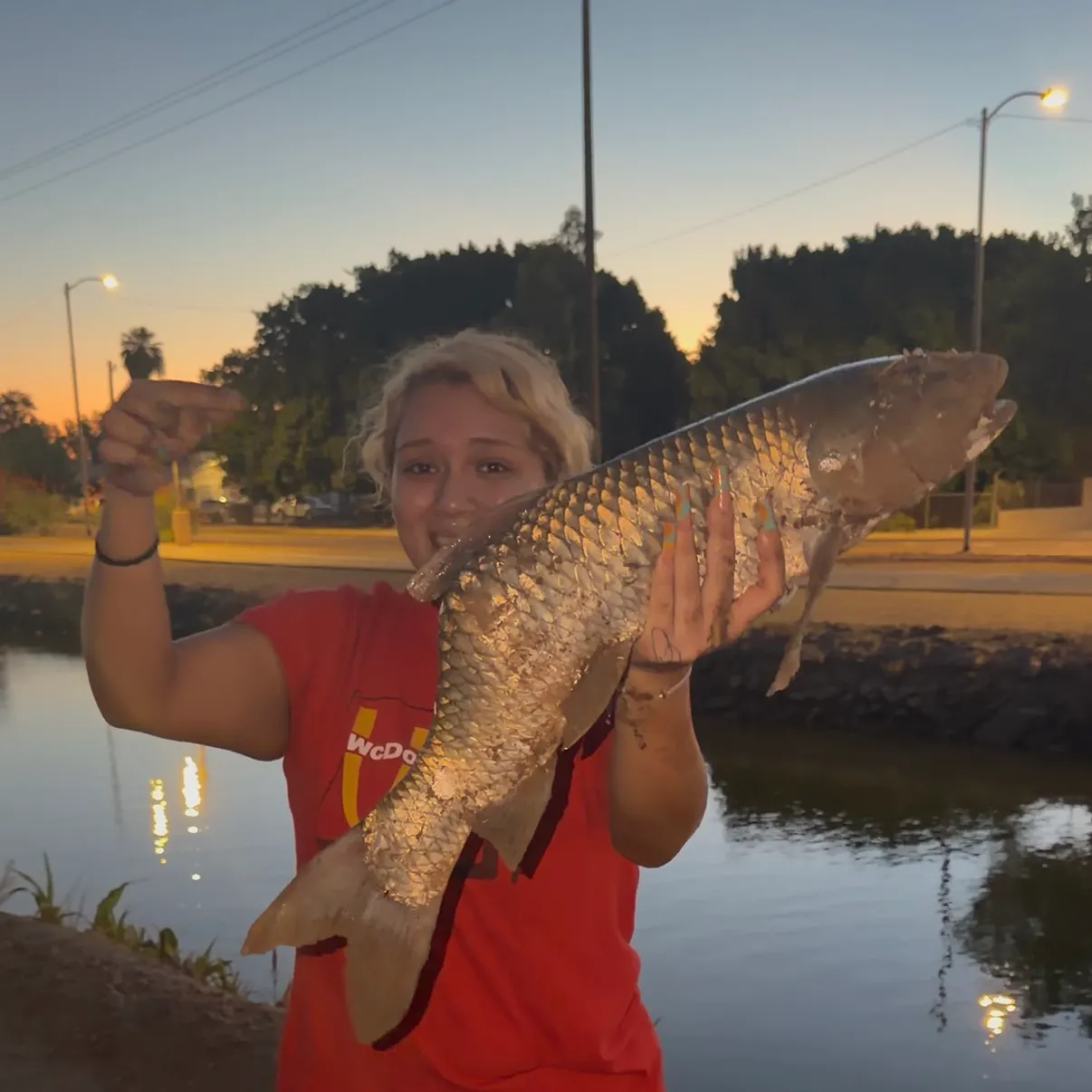 recently logged catches