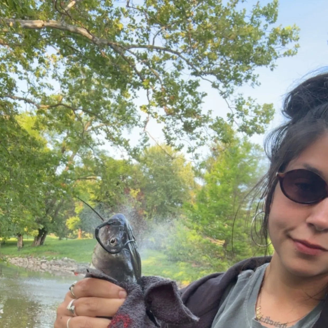 The most recent Channel catfish catches on Fishbrain