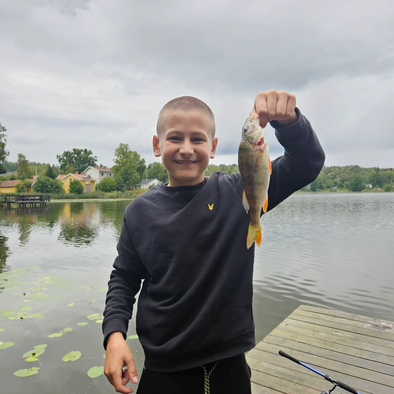 European perch caught on Fishbrain