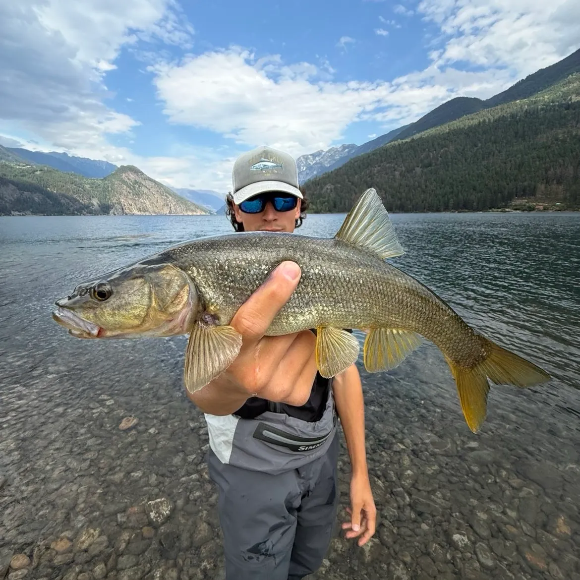 The most recent Northern pikeminnow catches on Fishbrain