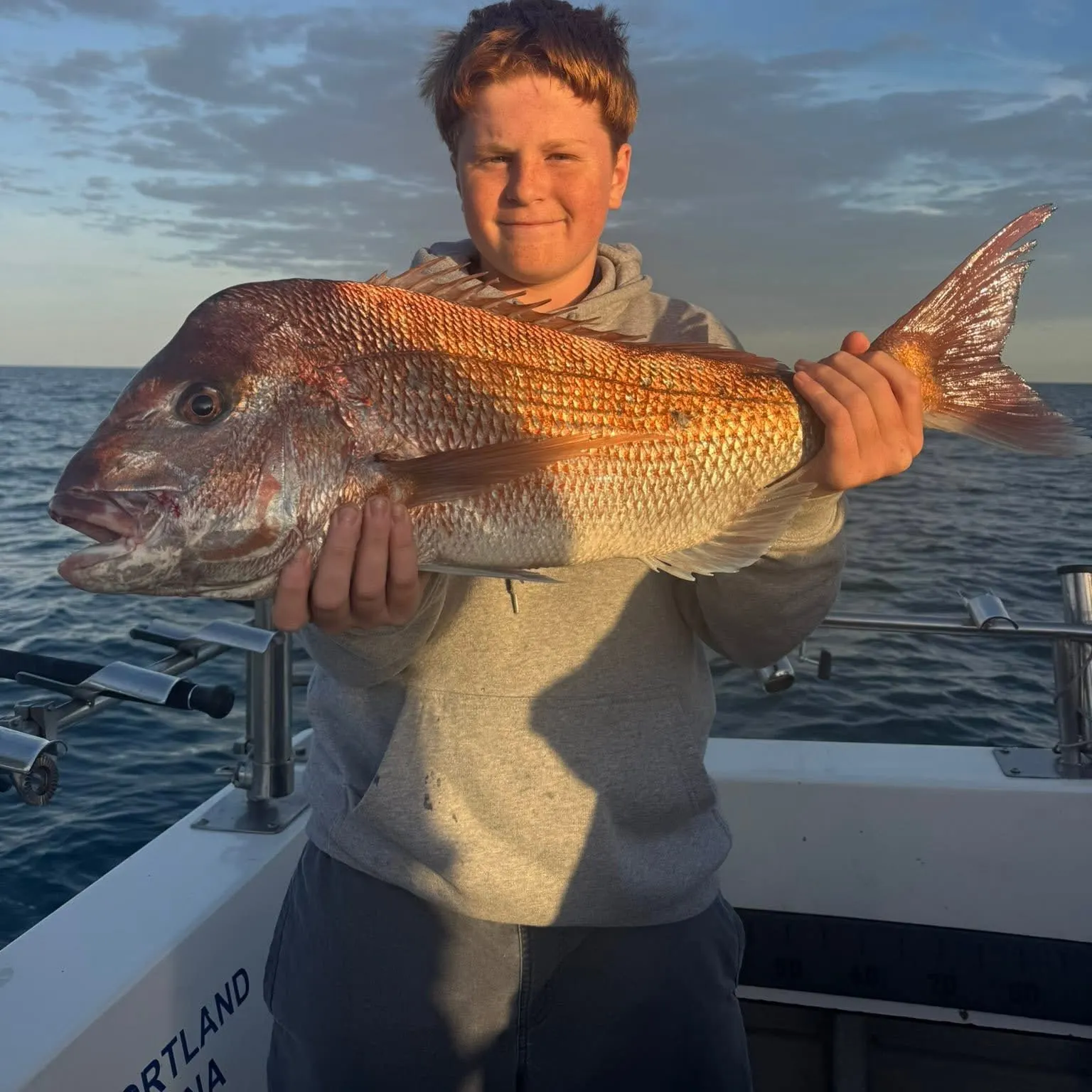 The most recent Australasian snapper catches on Fishbrain