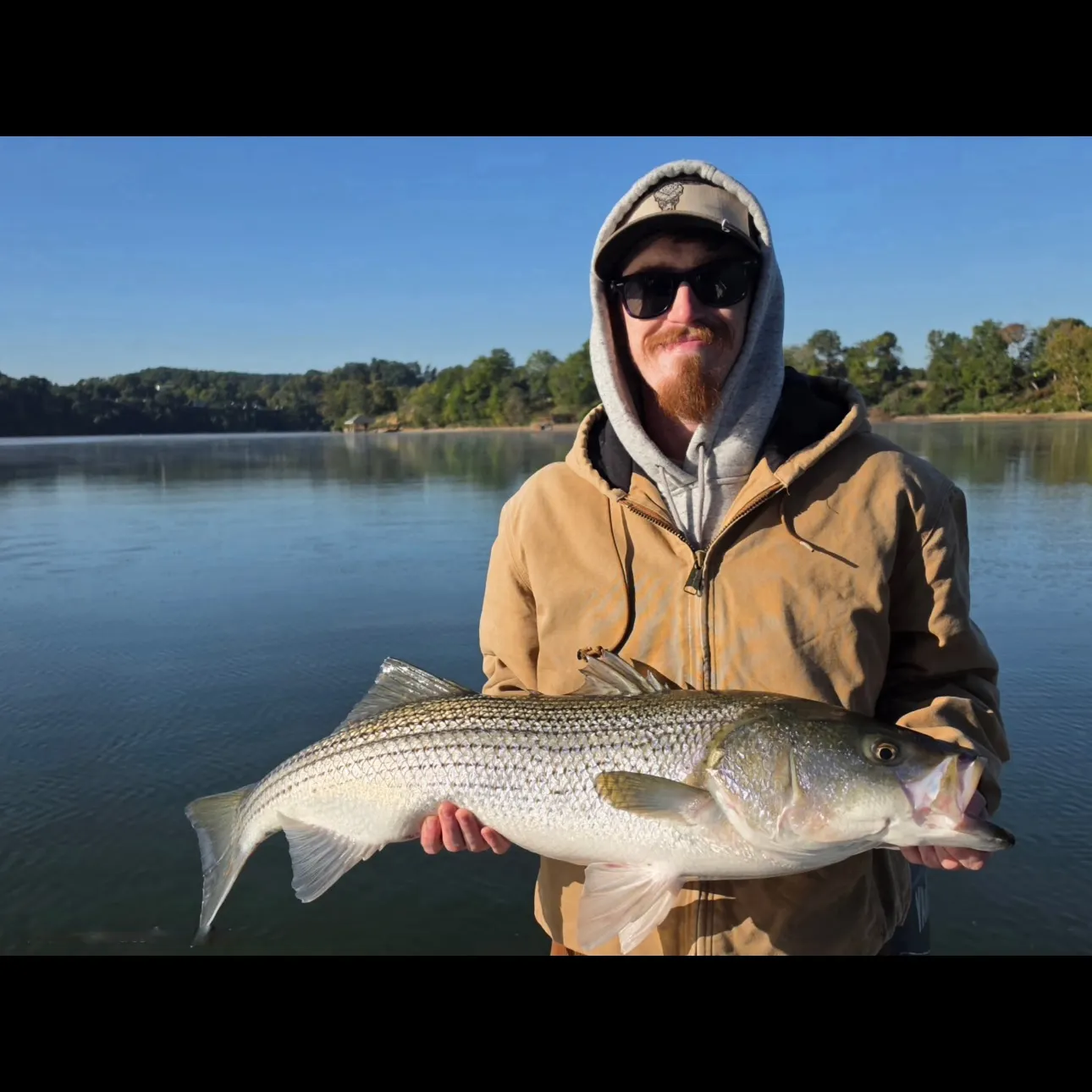 Striped bass caught on Fishbrain