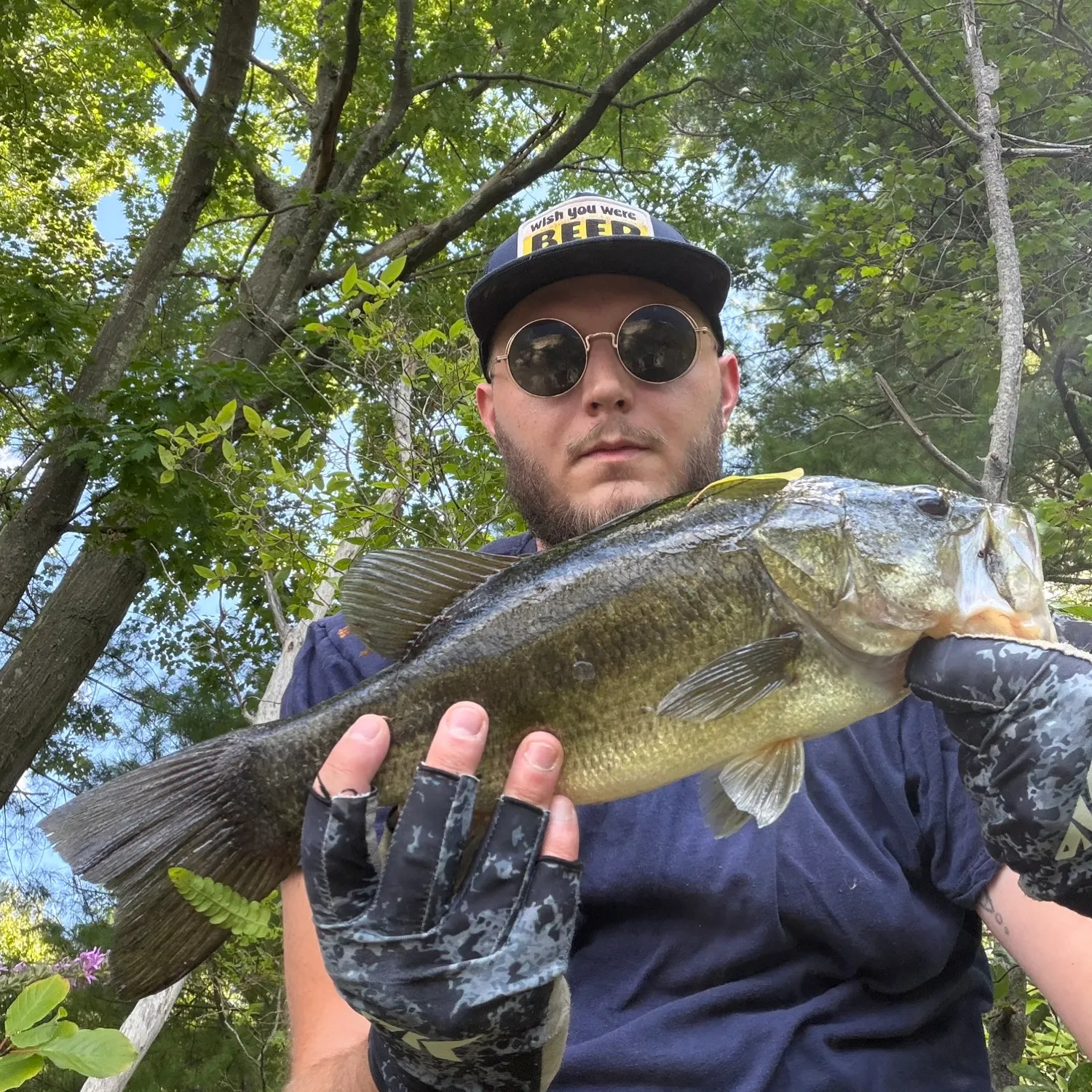 Largemouth bass caught on Fishbrain