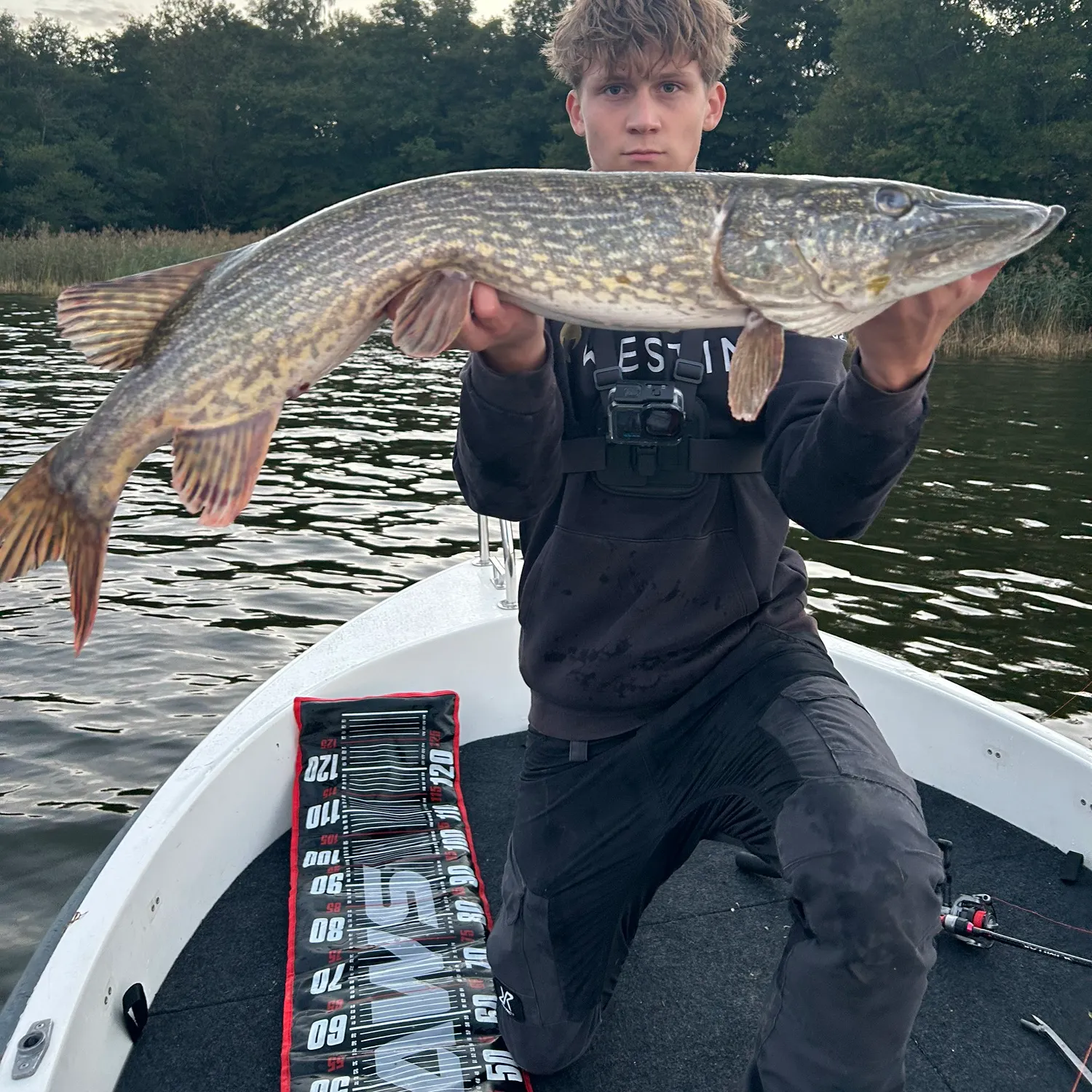 Northern pike caught on Fishbrain