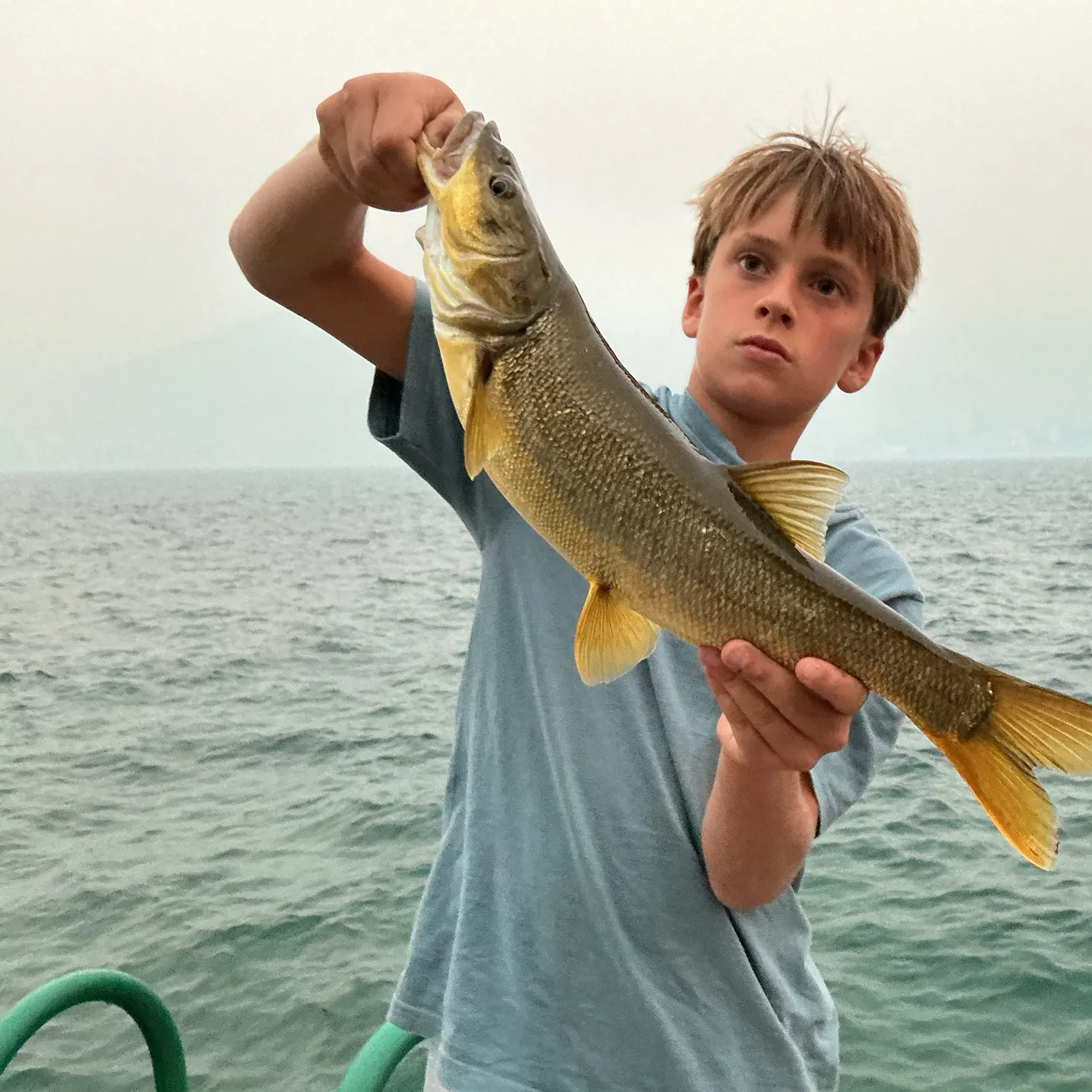 The most recent Northern pikeminnow catches on Fishbrain