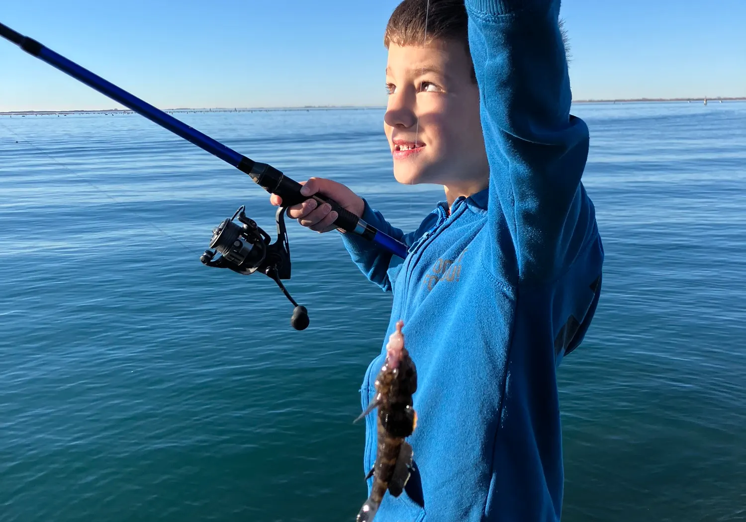 Giant goby