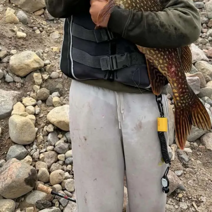 Northern pike caught on Fishbrain
