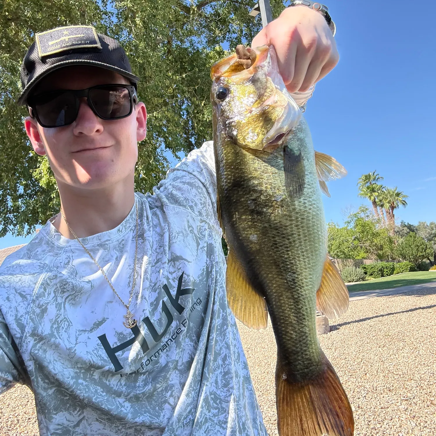 Largemouth bass caught on Fishbrain