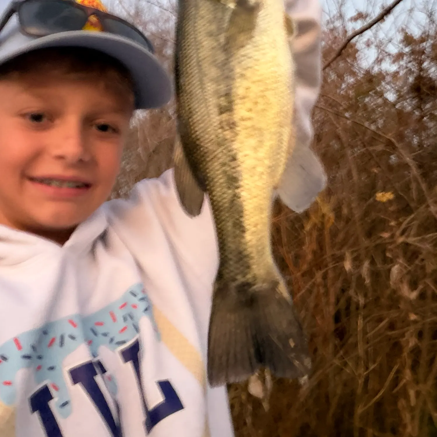 Largemouth bass caught on Fishbrain