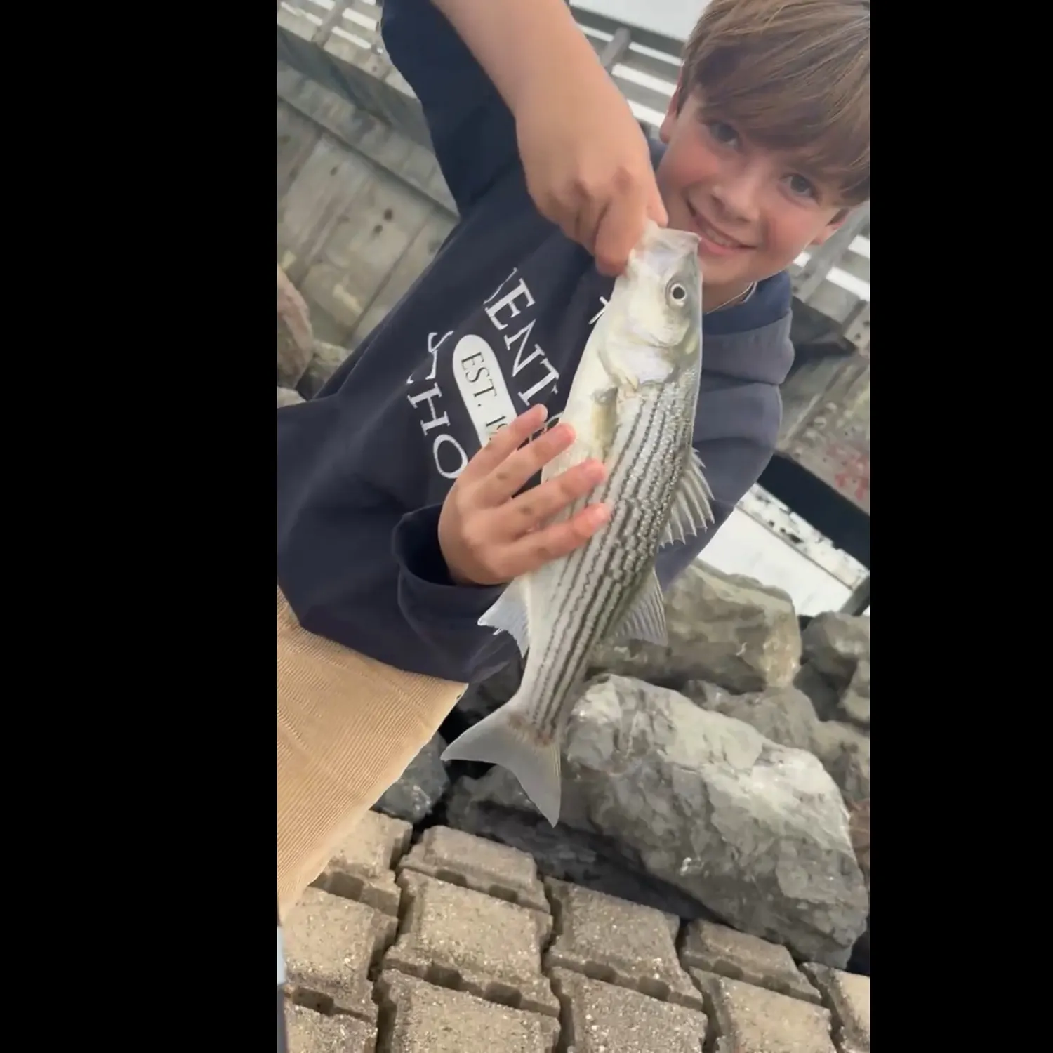 Striped bass caught on Fishbrain