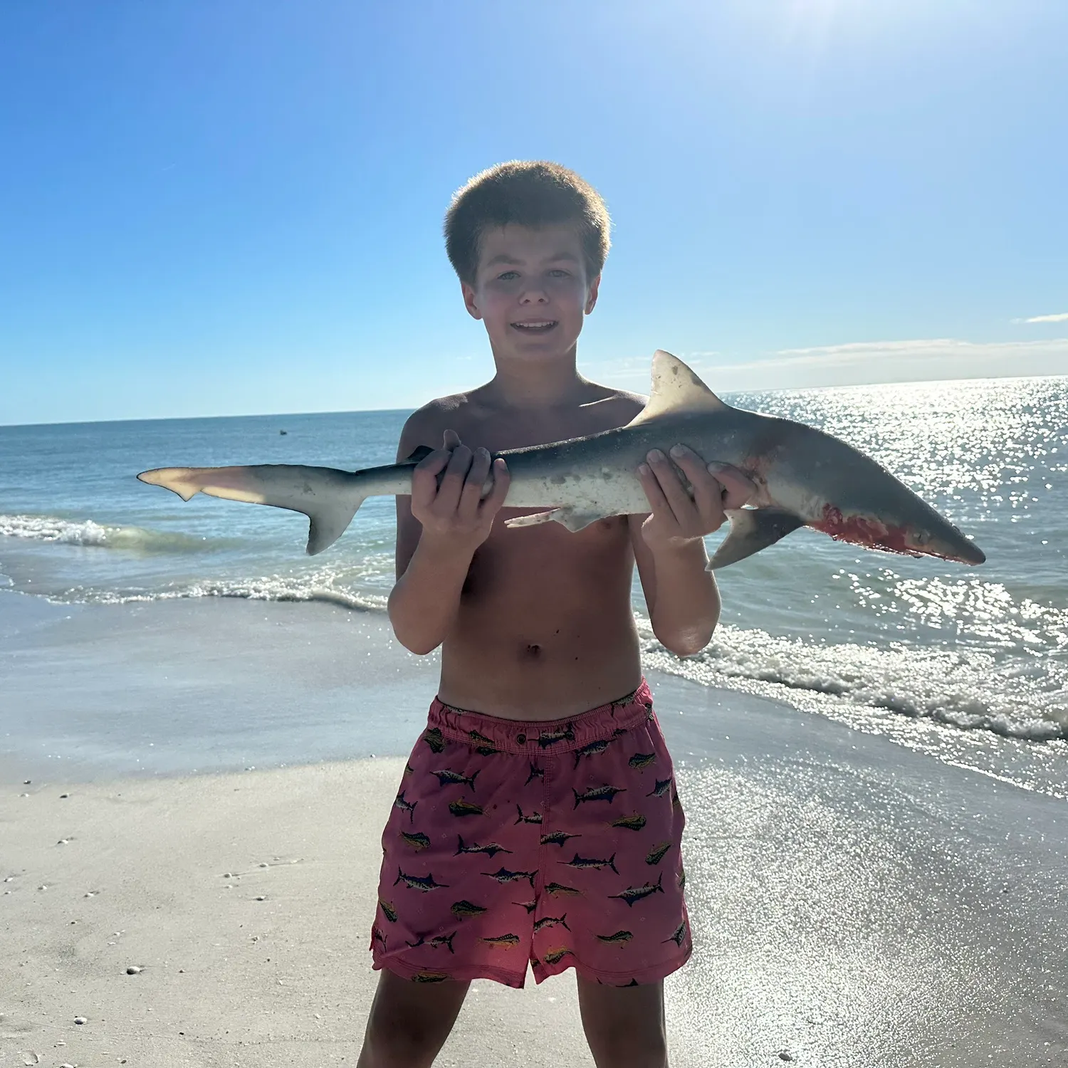 The most recent Dusky smooth-hound catches on Fishbrain