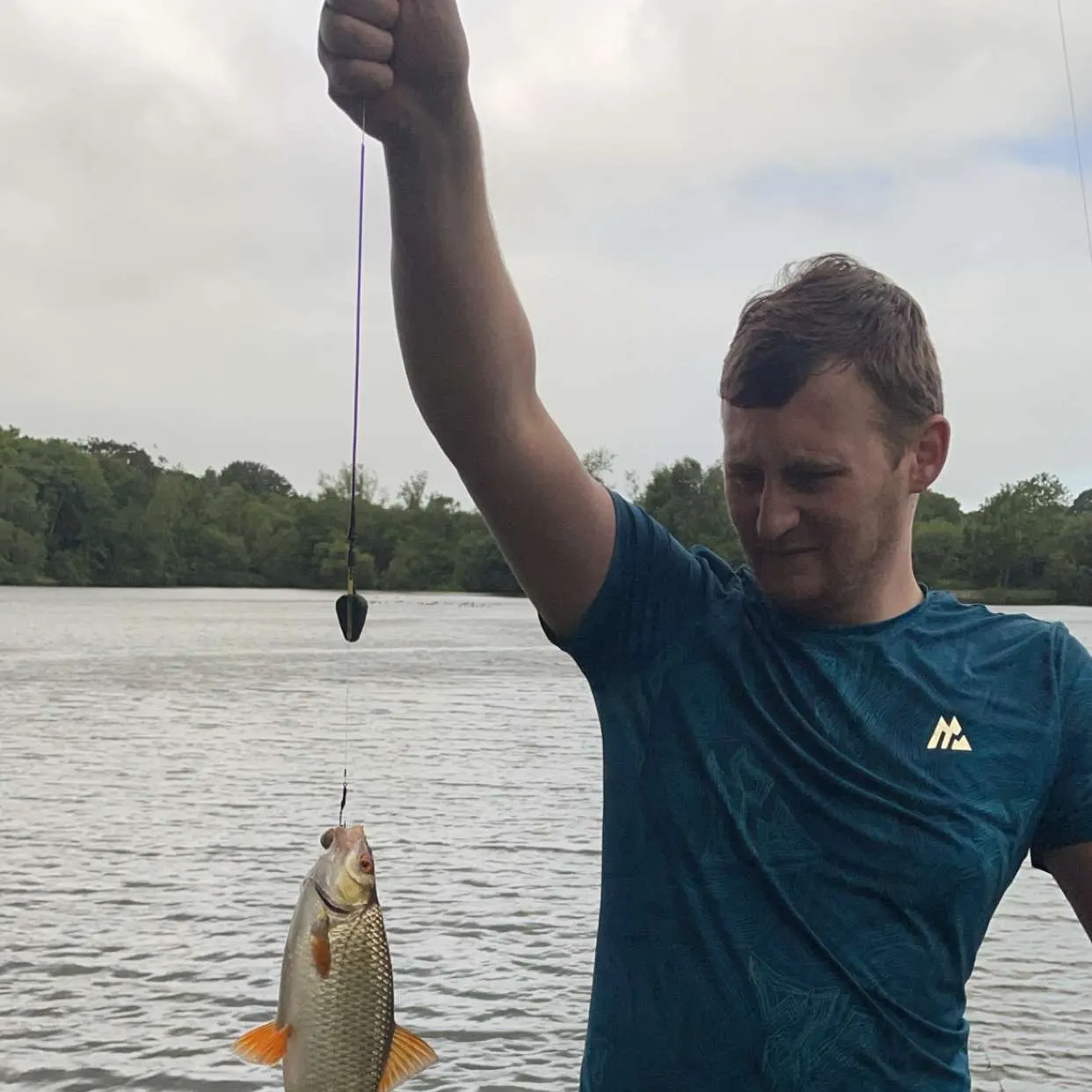 Common roach caught on Fishbrain
