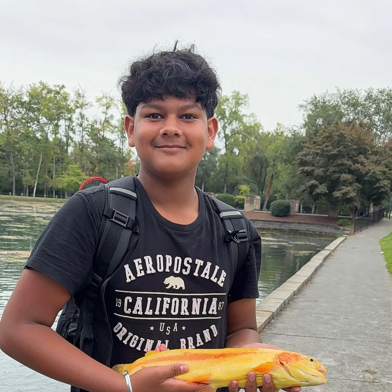 Golden rainbow trout caught on Fishbrain