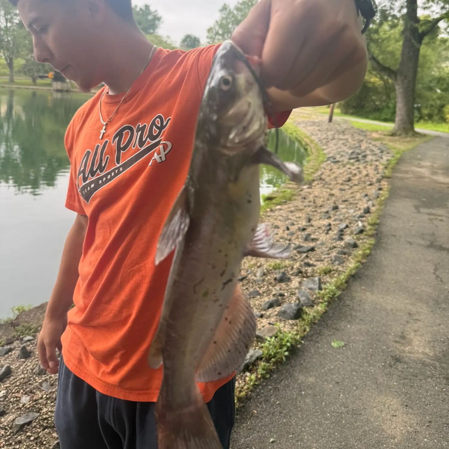 Channel catfish caught on Fishbrain