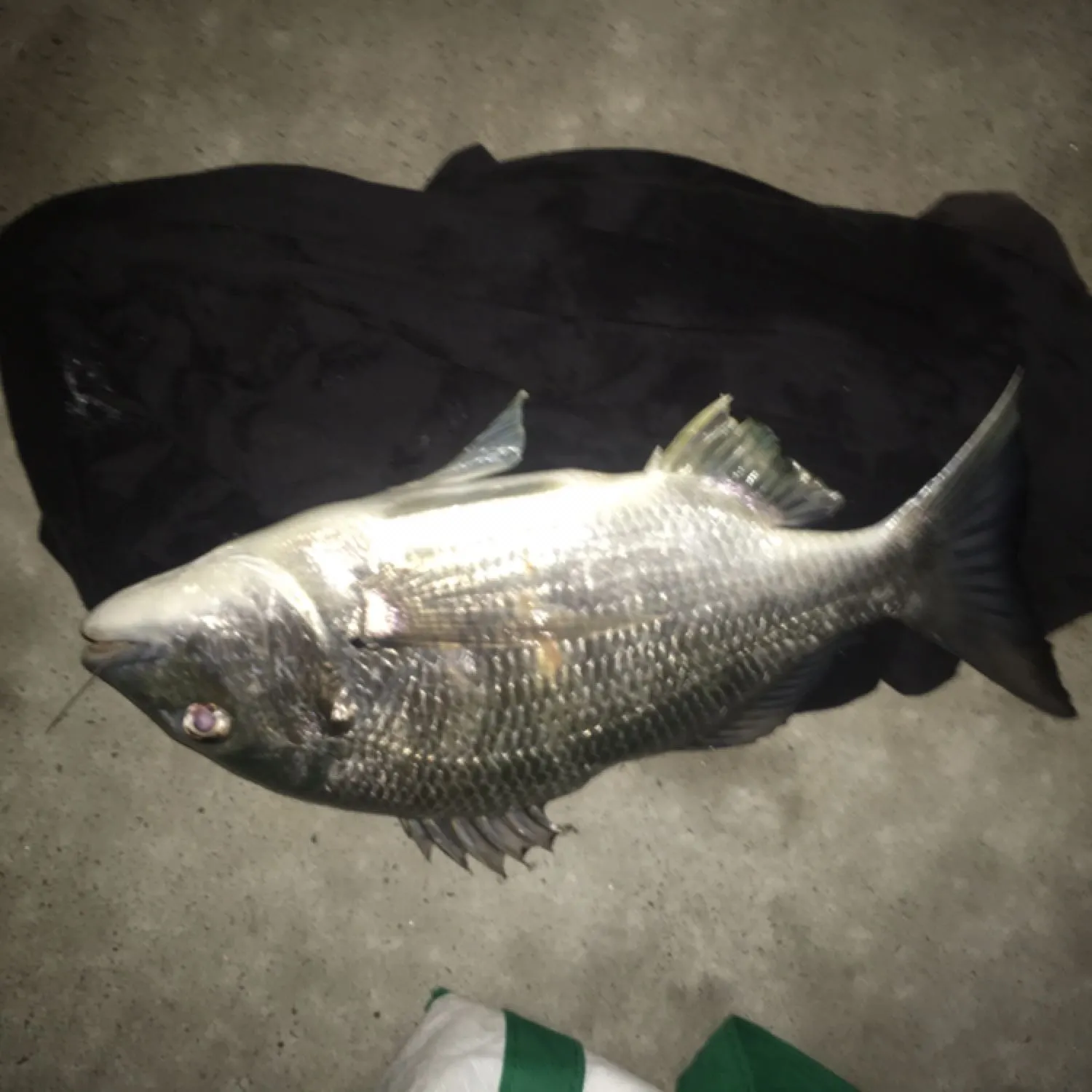 Post image from nigelcroese