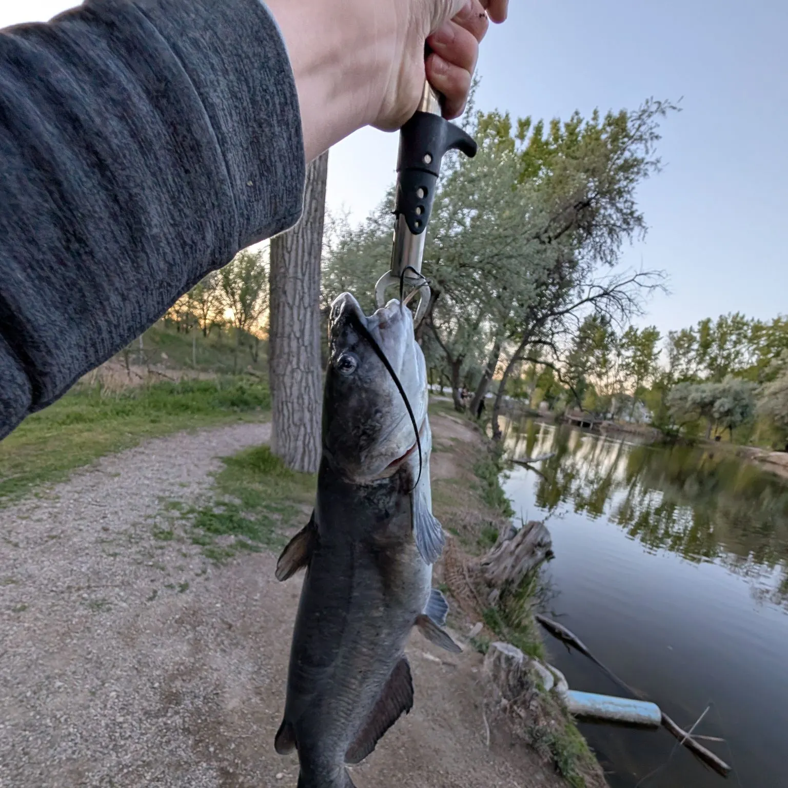 catch