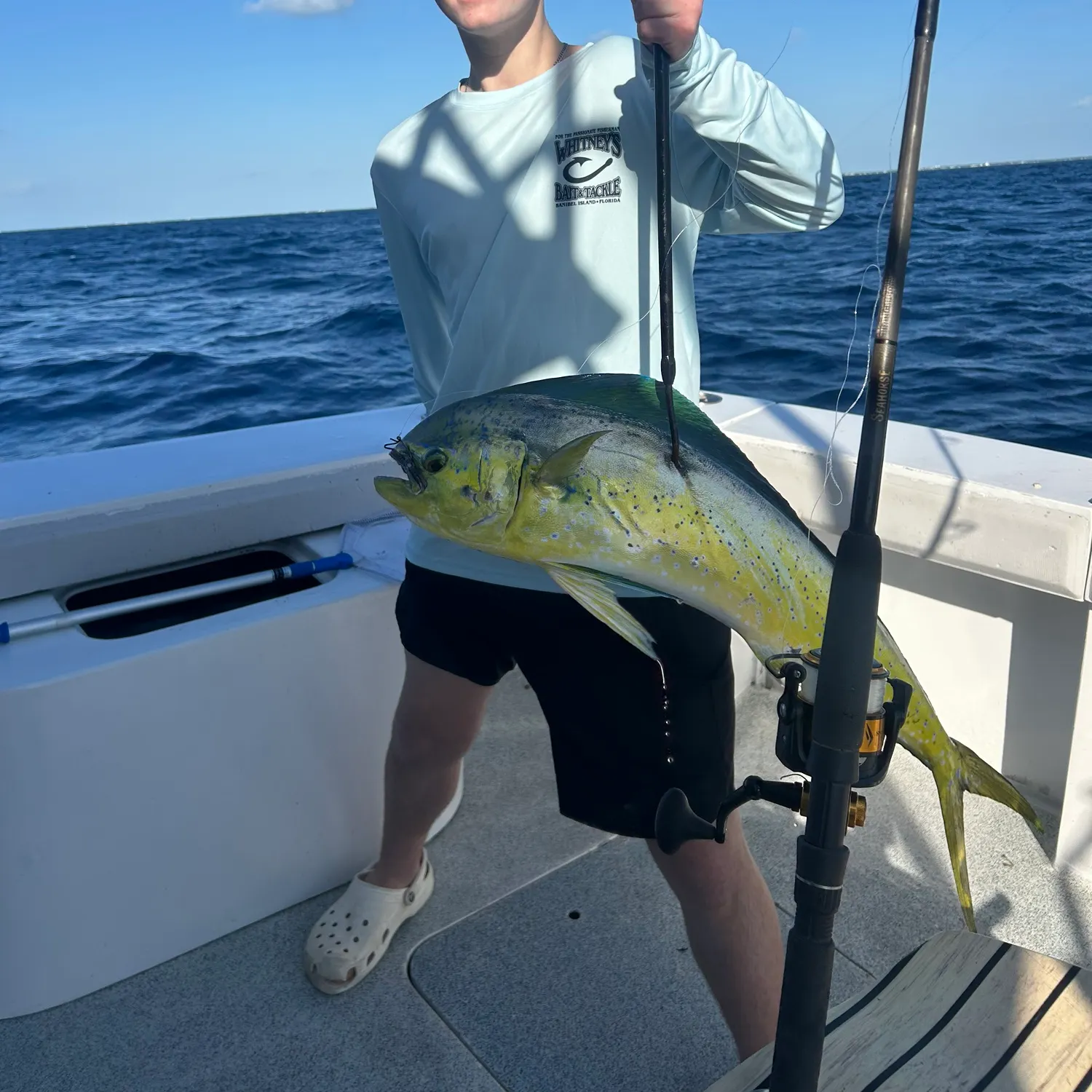 The most recent Common dolphinfish catches on Fishbrain