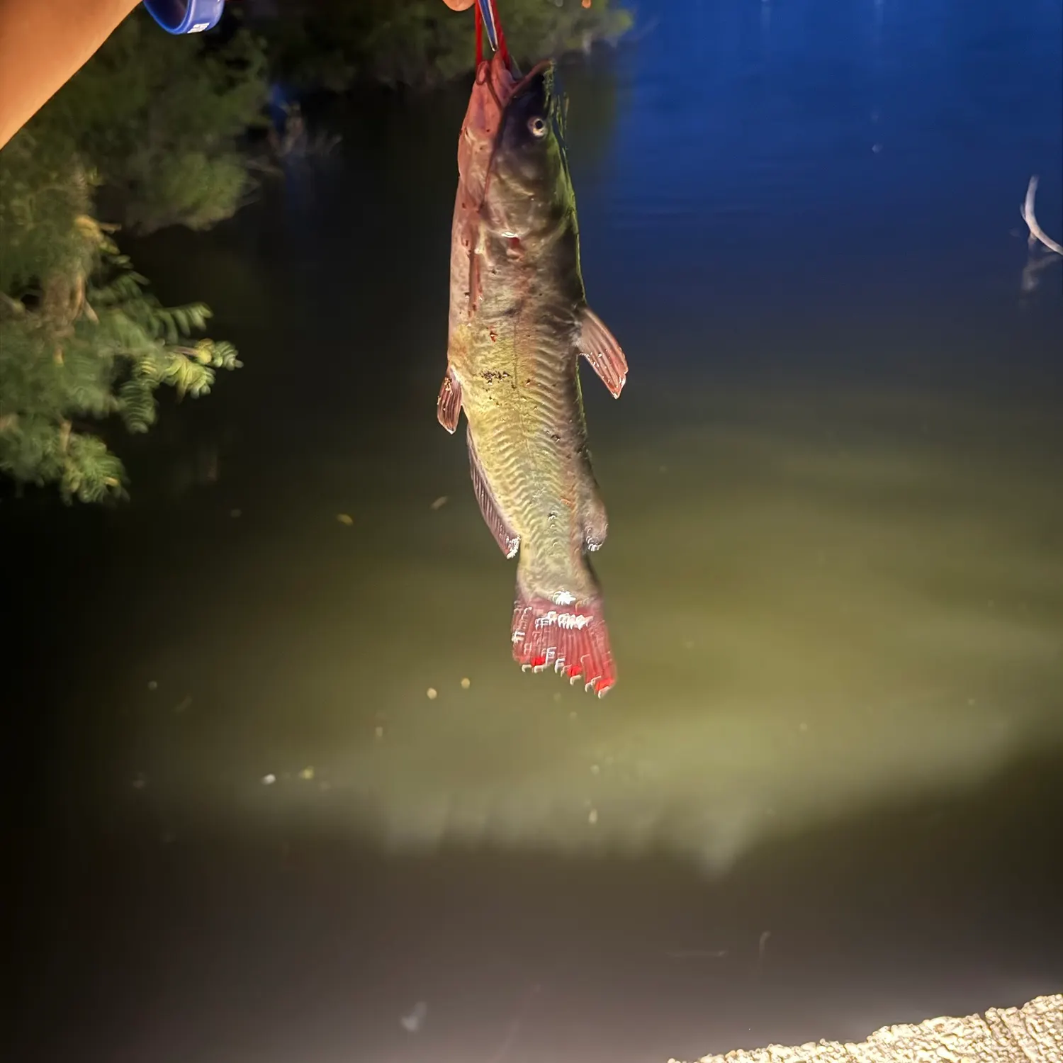 catch