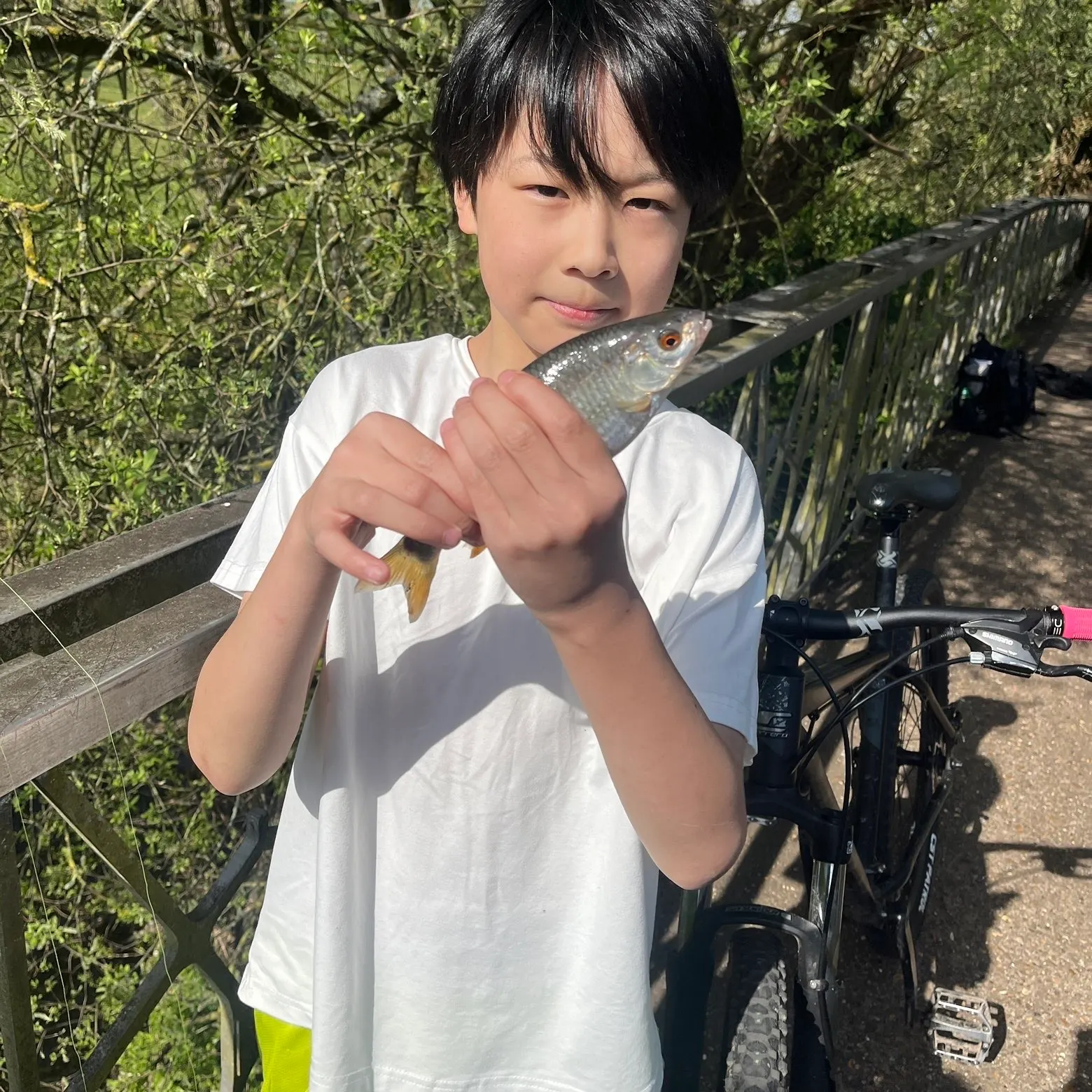 The most recent Common roach catches on Fishbrain