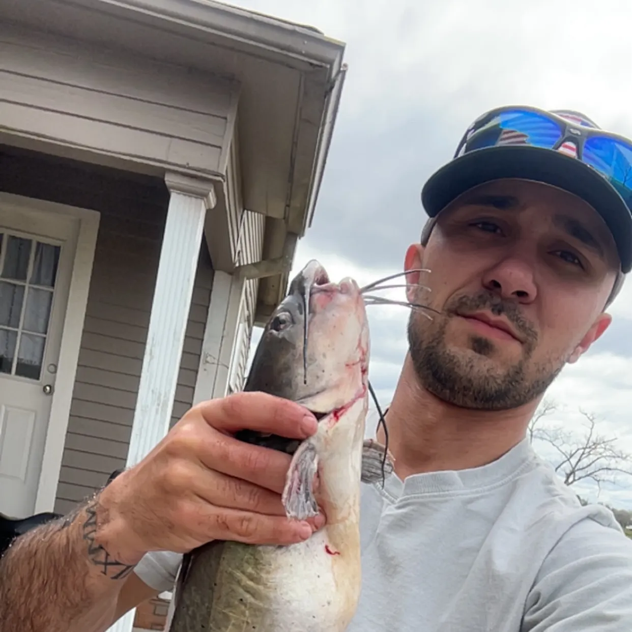 The most recent Channel catfish catches on Fishbrain