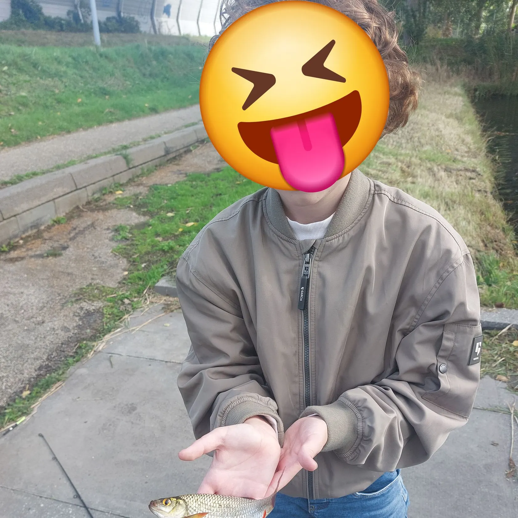 Common roach caught on Fishbrain