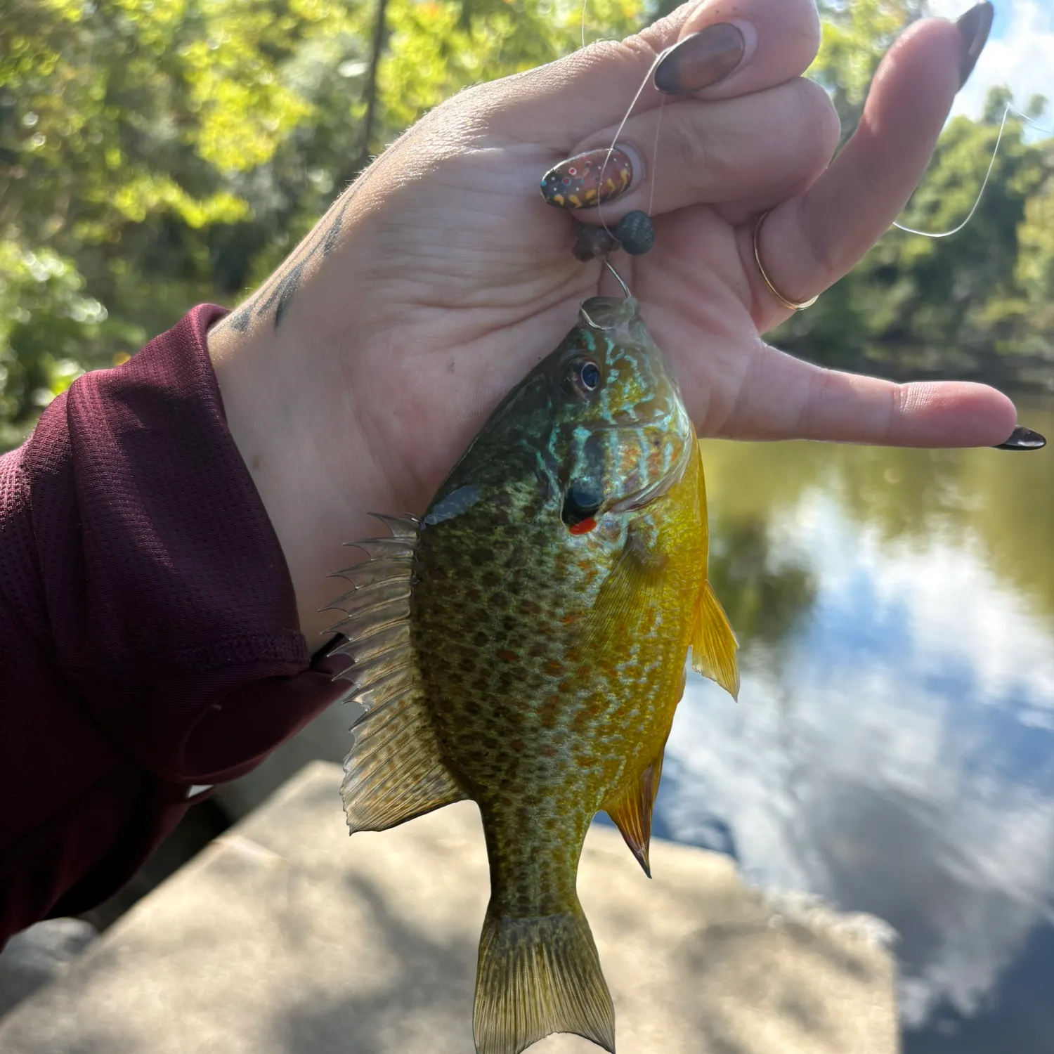 catch