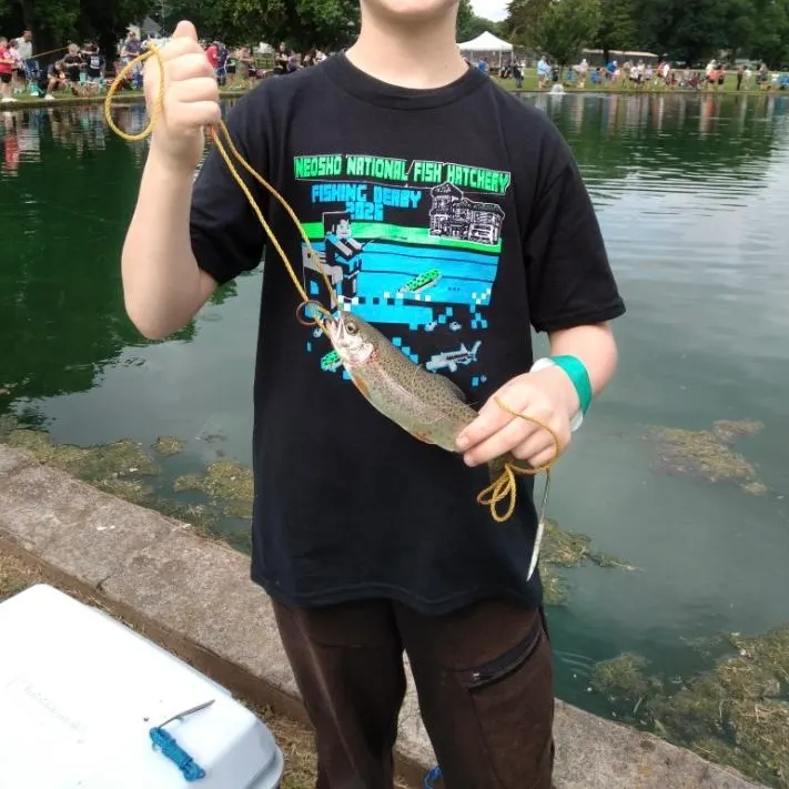 The most recent Kamloops trout catches on Fishbrain