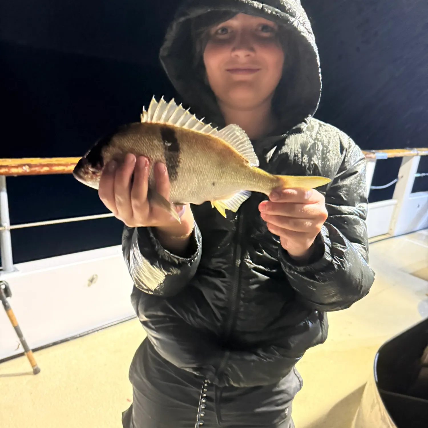 The most recent Sargo catches on Fishbrain