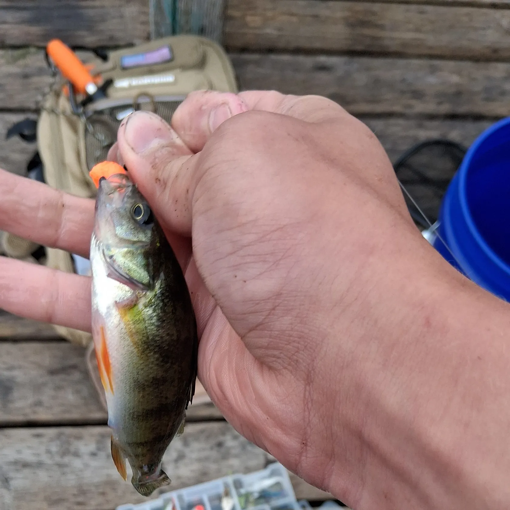 catch