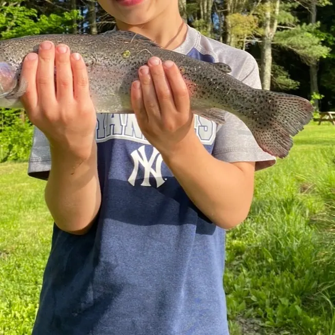 Rainbow trout caught on Fishbrain