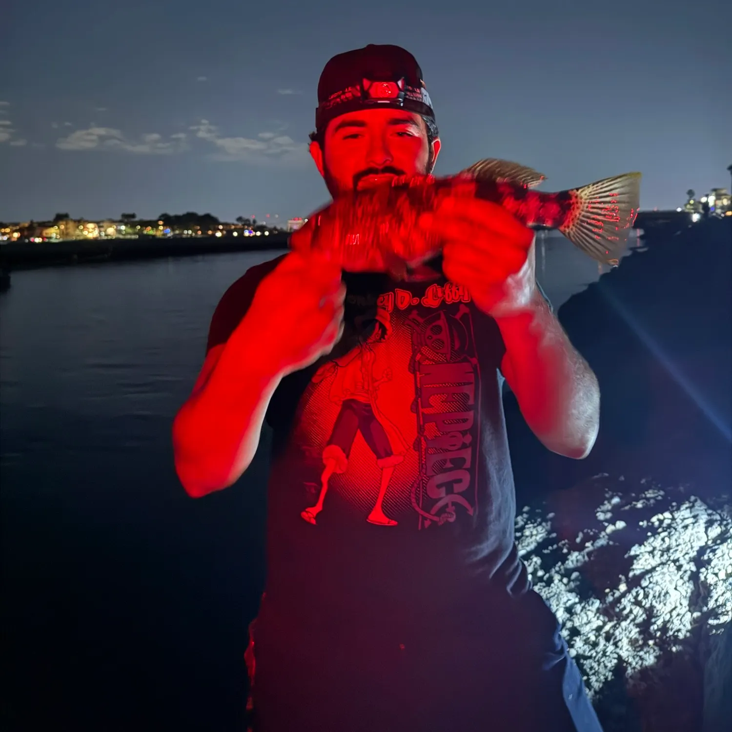 Spotted sand bass caught on Fishbrain