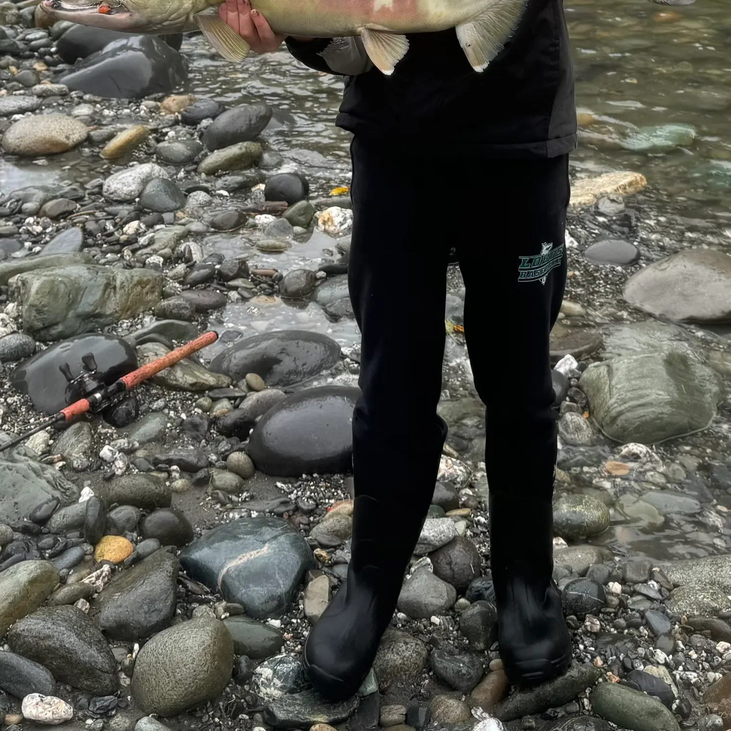 The most recent Chum salmon catches on Fishbrain